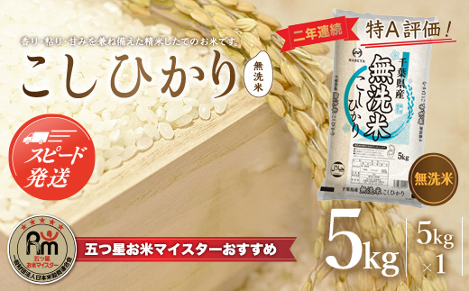 【最短2～7営業日出荷】令和7年産 2年連続特A評価!千葉県産コシヒカリ5kg無洗米（5kg×1袋） E008