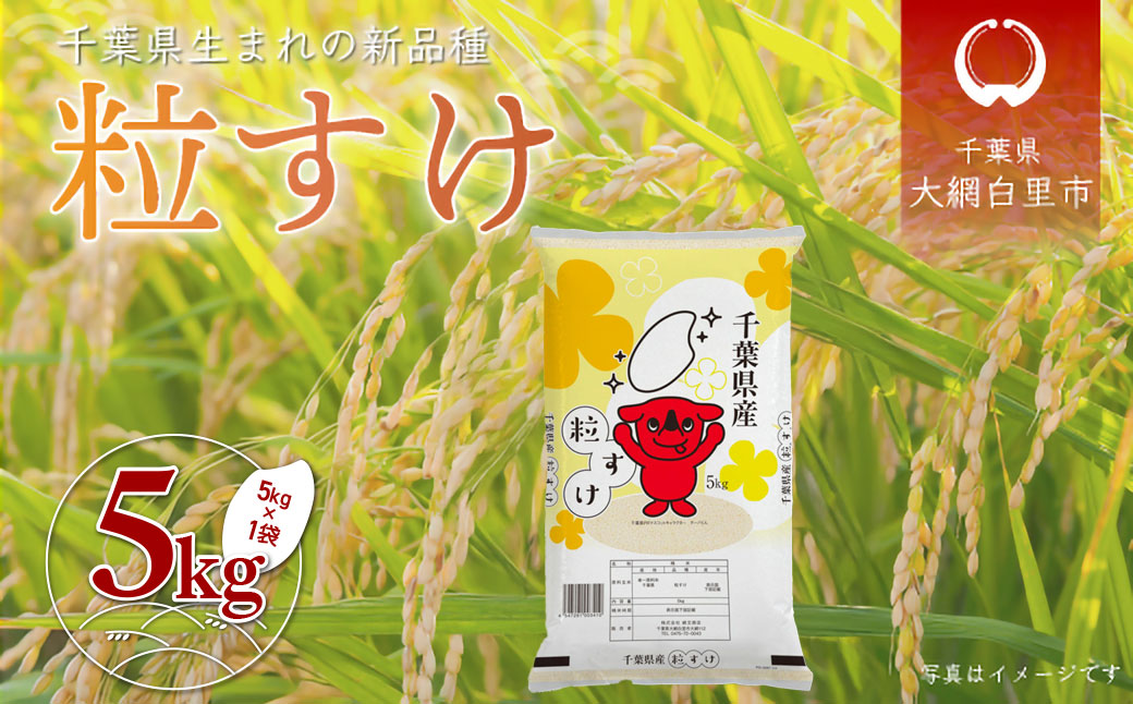 令和6年産 2年連続特A評価!千葉県産コシヒカリ10kg無洗米（5kg×2