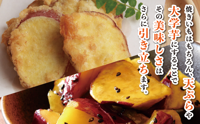 千葉県神崎町 JAかとり産 さつまいも 紅あずま Mサイズ20本入り ほくほく香ばしい 定番の味 焼き芋・干し芋に べにあずま ベニアズマ  [001-a003]