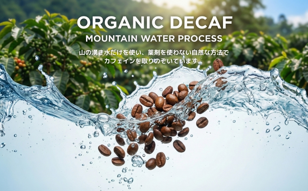 しかめがね DECAF珈琲豆 100g | コーヒー 豆 焙煎 デカフェ 豆 酸味 苦味 すっきり バランス カフェインレス 妊婦 授乳