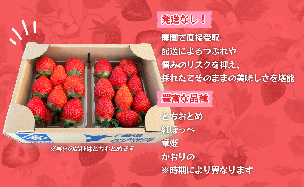 【いちご農園でお渡し・1～4月限定】甘くてジューシー！ベリーファームテトラの新鮮いちご引換券（2パック）[020-a002]