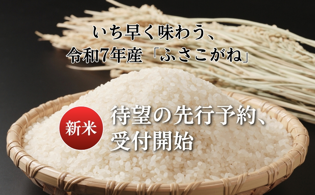 《令和7年産米・先行予約》創業百年・老舗米屋 羽生惣吾商店 千葉県産ふさこがね 精米 5kg 10月発送 【お米 ふさこがね 精米 令和7年産】（千葉県神崎町）[026-a002]