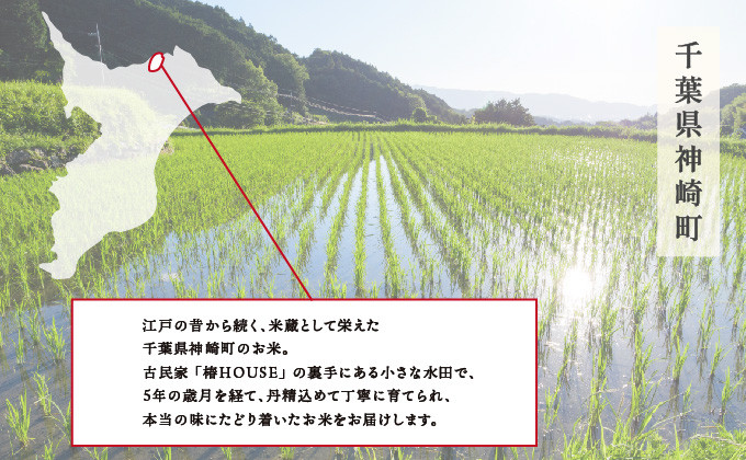 【美人米】玄米10kg  千葉県神崎町産[002-a002]