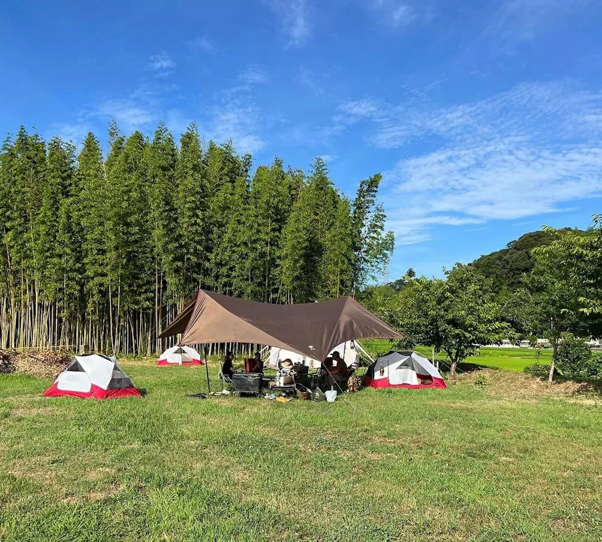 椿HOUSE 宿泊チケット（１泊分）[009-a003]