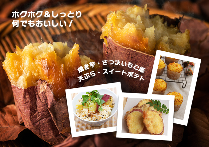 《注文殺到のため発送は12月以降》リピーター続出！さつまいも 紅あずま5kg 【神崎町・杉山農園から産地直送】【さつまいも いも 芋 紅あずま 焼き芋 チップス 干し芋】[019-a001]