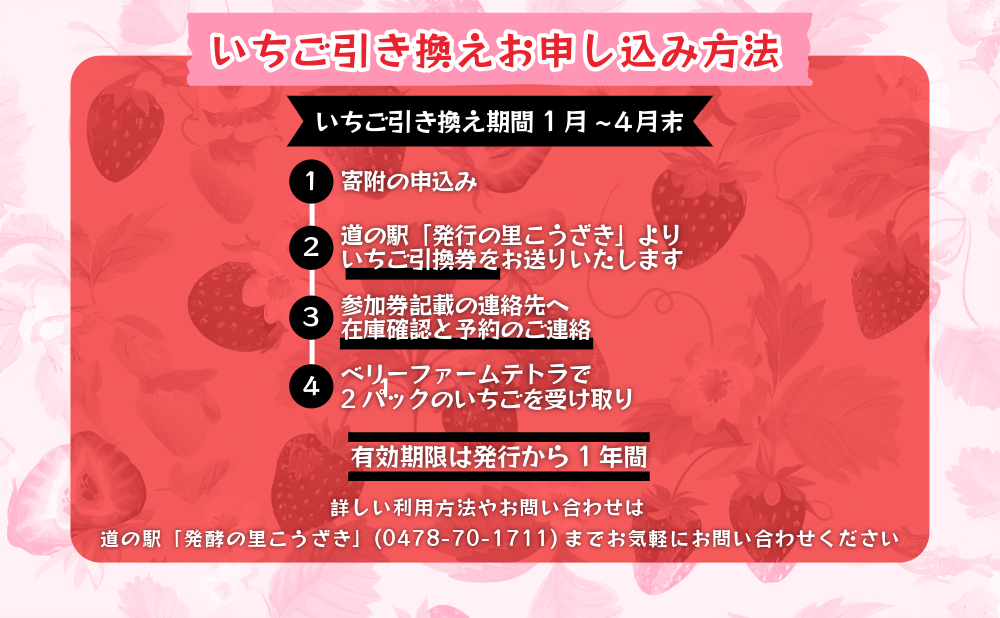 【いちご農園でお渡し・1～4月限定】甘くてジューシー！ベリーファームテトラの新鮮いちご引換券（2パック）[020-a002]