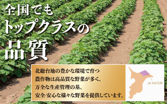 千葉県神崎町 JAかとり産 さつまいも シルクスイート Mサイズ20本入り なめらか食感 上品な甘さ 焼き芋・干し芋に[001-a002]