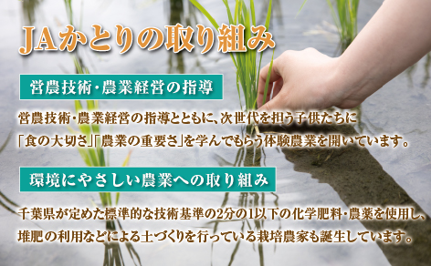 コシヒカリ精米5kg×4袋[001-a005]【千葉県神崎町ふるさと納税】