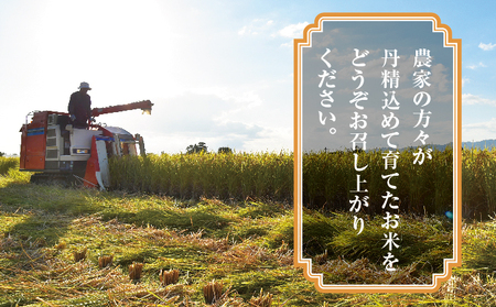 ふさおとめ精米5kg×4袋[001-a007]【千葉県神崎町ふるさと納税】