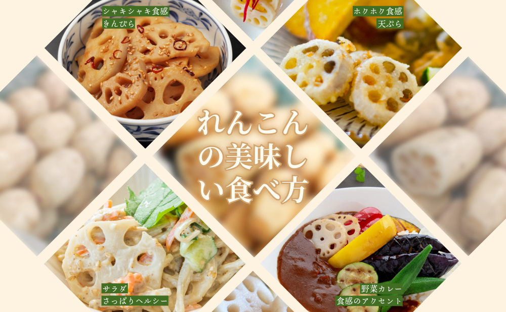 【テレビでも話題】千葉県神崎町産れんこん 2kg有機肥料栽培の甘みとシャキシャキ食感（真空パック・冷蔵配送）（※4月～8月は出荷不可）[022-a001]