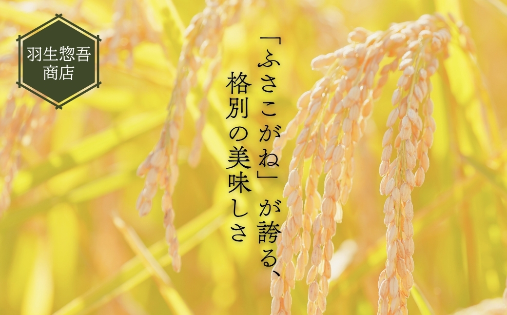 《令和7年産米・先行予約》創業百年・老舗米屋 羽生惣吾商店 千葉県産ふさこがね 精米 10kg 9月発送 【お米 ふさこがね 精米 令和7年産】（千葉県神崎町）[026-a005]