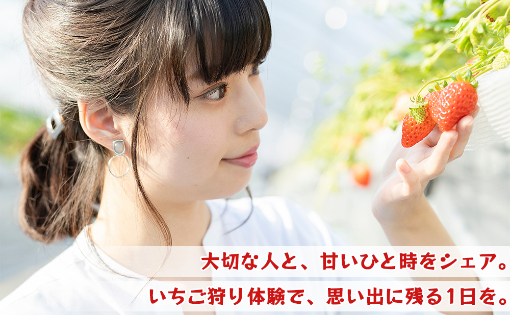 【1～4月限定】甘くてジューシー！ベリーファームテトラのいちご狩り体験（大人2名）[020-a001]
