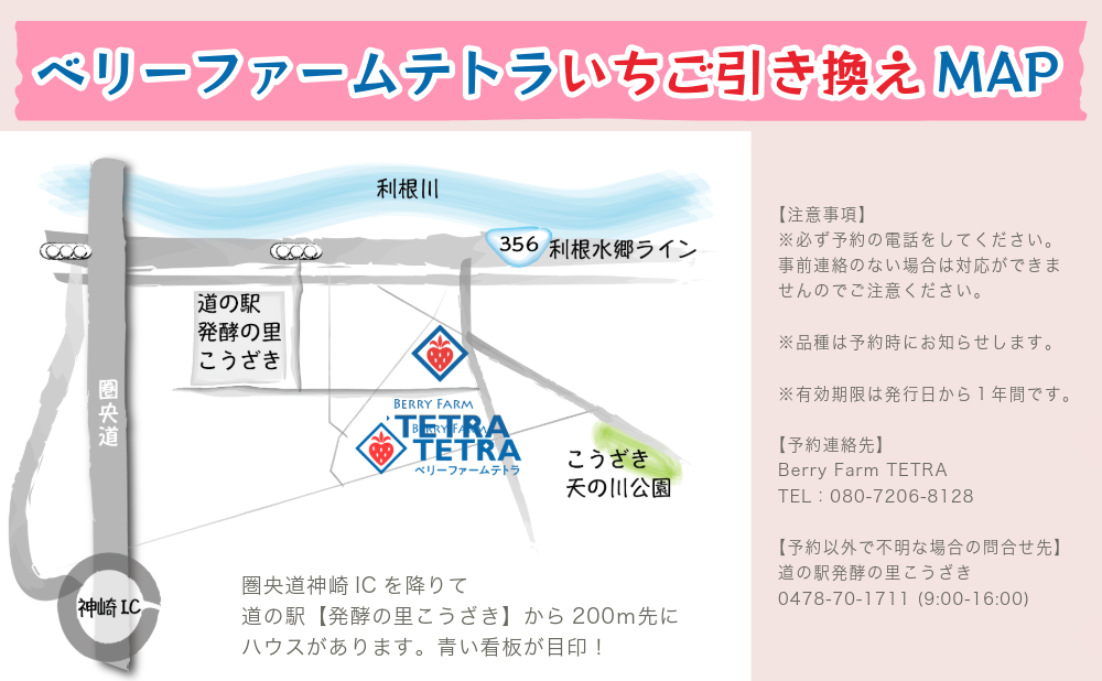 【いちご農園でお渡し・1～4月限定】甘くてジューシー！ベリーファームテトラの新鮮いちご引換券（2パック）[020-a002]