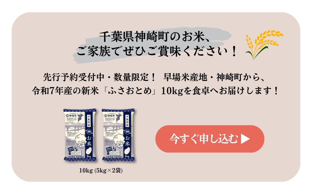 《先行予約・令和7年産米》千葉県神崎町産ふさおとめ10kg（5kg×2袋）｜早場米産地のお米を食卓へ｜9月以降順次発送予定｜数量限定【精米 米 お米 お米 白米 ご飯 白ごはん 弁当 5キロ 10キロ 20キロ 千葉県神崎町ふるさと納税】[025-a001]