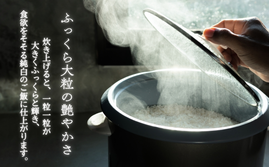 《令和7年産米・先行予約》創業百年・老舗米屋 羽生惣吾商店 千葉県産ふさこがね 精米 5kg 11月発送 【お米 ふさこがね 精米 令和7年産】（千葉県神崎町）[026-a003]