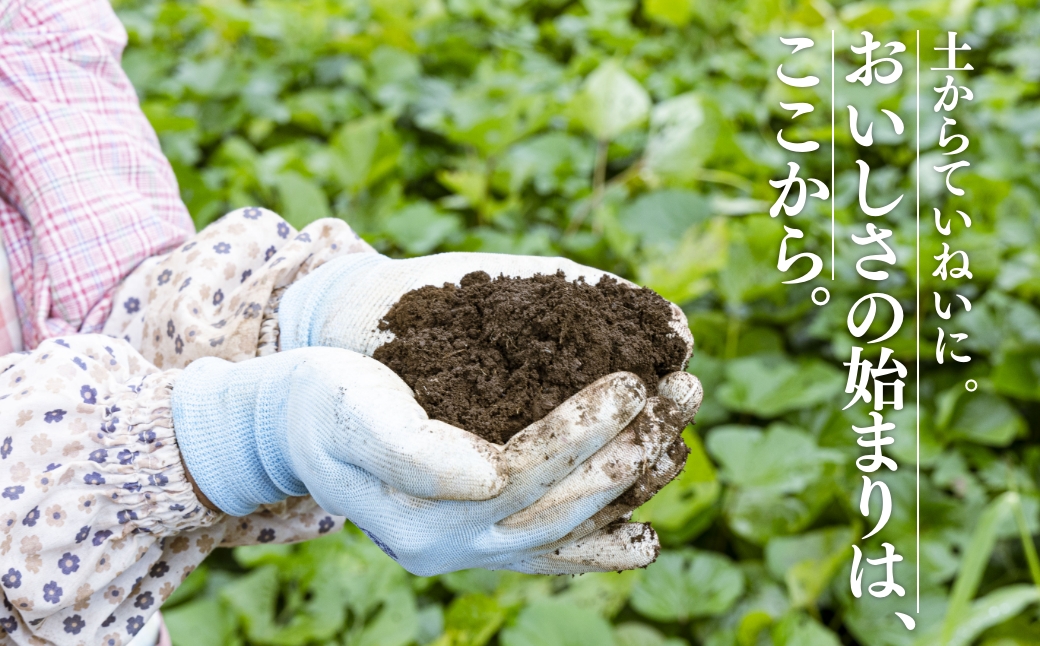 神うま！ 神崎おさつ蔵「おさつ、パリッ」5つの味 食べ比べセット（90g×5袋）｜神崎町ファームおせげんのさつまいも使用｜千葉県神崎町 027-a001