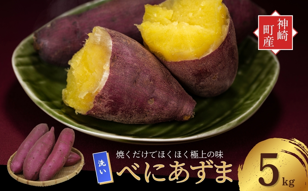＼焼き芋も天ぷらもおまかせ！／神崎町産べにあずま 洗い さつまいも 5kg｜ホクホク甘い万能タイプ（9月・10月・1月～5月に順次発送）[016-a004]【千葉県神崎町ふるさと納税】 洗い 5kg