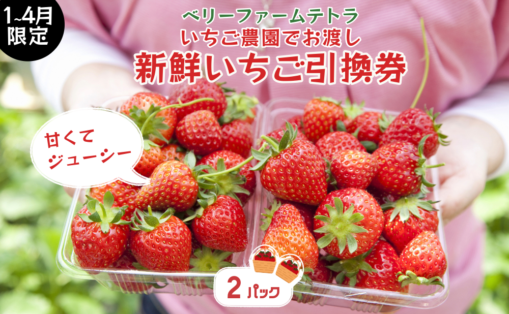 【いちご農園でお渡し・1～4月限定】甘くてジューシー！ベリーファームテトラの新鮮いちご引換券（2パック）[020-a002]