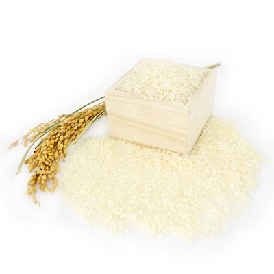 【令和7年産】多古米コシヒカリ　精米10kg(5kg×2袋)【配送不可地域：離島・沖縄県】