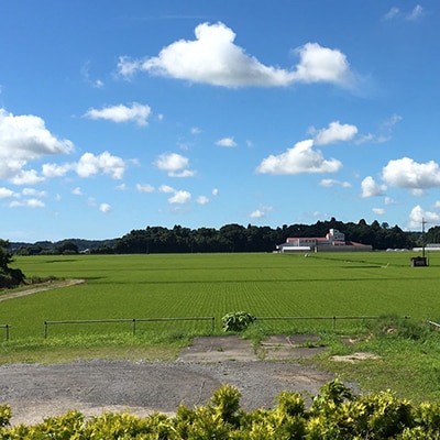嵐の湯(薬石浴)入浴チケット2回分