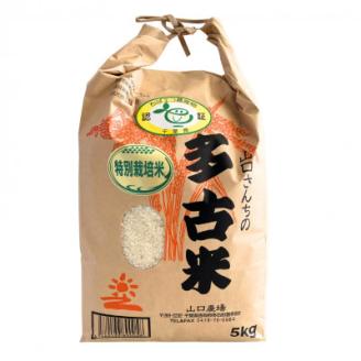 山口さんちの【令和7年産】多古米コシヒカリ(精米)10kg【配送不可地域：離島・沖縄県】