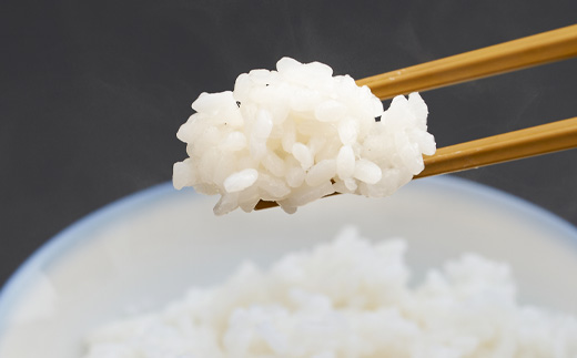 新米【令和7年産】たこまいらいふ萩原農場の多古米コシヒカリ(精米)20kg【配送不可地域：離島・沖縄県】