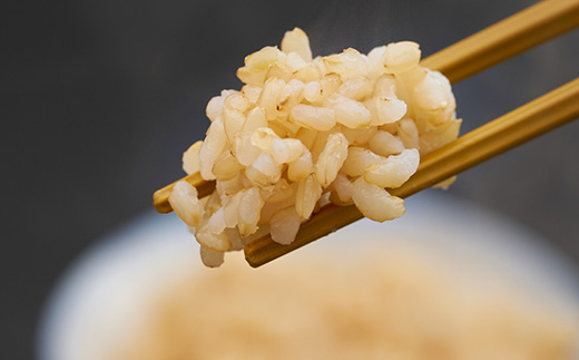 新米【令和7年産】たこまいらいふ萩原農場の多古米コシヒカリ(玄米)10kg【配送不可地域：離島・沖縄県】