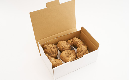 やまと芋の町!多古から「秋山農園のやまと芋」2kg(どろ付き)