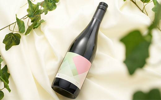 多古ワイン 2022 Rouge(ルージュ) ヤマソーヴィニヨン【赤ワイン】750ml【配送不可地域：離島】