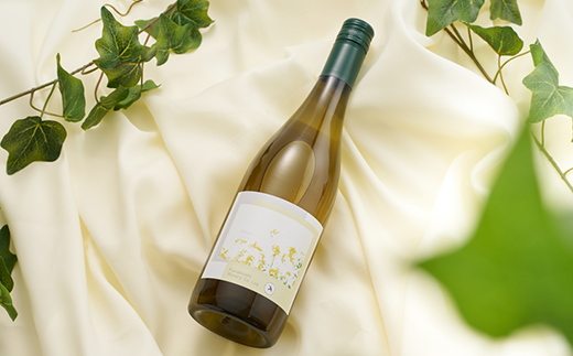 多古ワイン 2022 Blanc(ブラン)シャルドネ・ソーヴィニョンブラン【白ワイン】750ml【配送不可地域：離島】