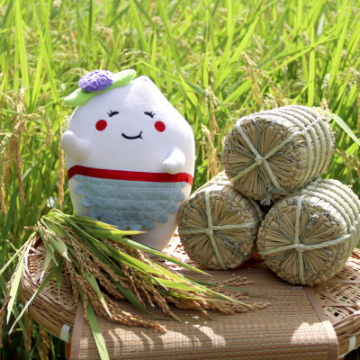 厳選多古米コシヒカリ　精米5kg　令和7年産【配送不可地域：離島】