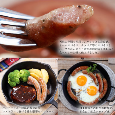 【千葉県多古町産】元気豚 ウインナーソーセージセット(36本入り)【配送不可地域：離島】