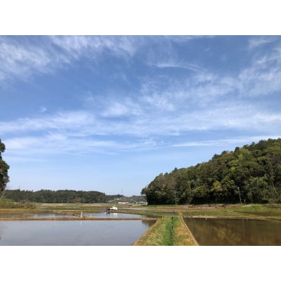 千葉エコ認証　特別栽培米多古米【配送不可地域：離島・沖縄県】