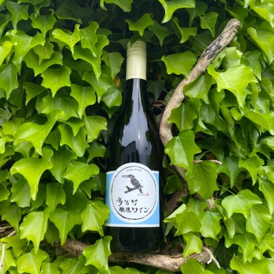 【多古町醸造ワイン 2本セット】Goodness2021微発泡ロゼ・水色ラベル2020赤ワイン【配送不可地域：離島・沖縄県】