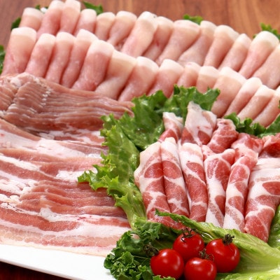 千葉県産豚肉　元気豚 精肉4種セット　1.7kg【配送不可地域：離島・沖縄県】