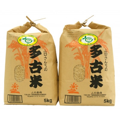 山口さんちの【令和7年産】多古米コシヒカリ(玄米)10kg【配送不可地域：離島・沖縄県】