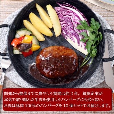 元気豚デミグラスハンバーグ 10個セット(140g×10個入)【配送不可地域：離島・沖縄県】