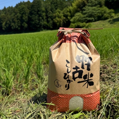 多古米セレクション　萩原佐千穂さんの多古米コシヒカリ　精米5kg　令和7年産【配送不可地域：離島】