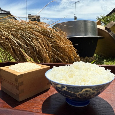 多古米セレクション　大木茂秀さんの多古米コシヒカリ　玄米10kg　令和7年産【配送不可地域：離島】