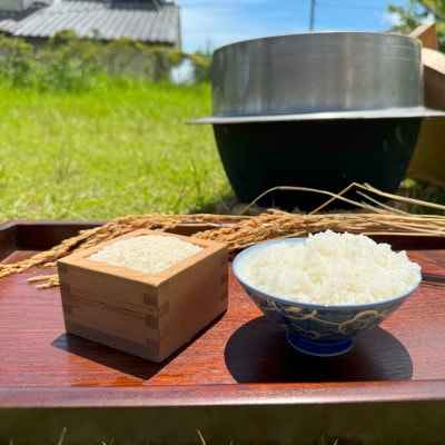 多古米セレクション　大木茂秀さんの多古米コシヒカリ　精米5kg　令和7年産【配送不可地域：離島】