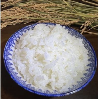 【毎月定期便】たこまいらいふ萩原農場の多古米コシヒカリ(精米)5kg全3回【配送不可地域：離島・沖縄県】