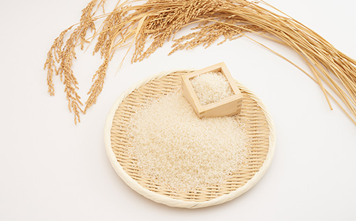 新米【令和7年産】たこまいらいふ萩原農場の多古米コシヒカリ(精米)20kg【配送不可地域：離島・沖縄県】