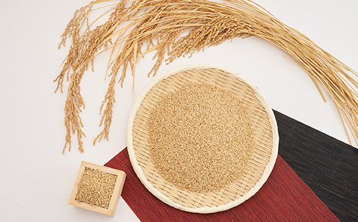 新米【令和7年産】たこまいらいふ萩原農場の多古米コシヒカリ(玄米)10kg【配送不可地域：離島・沖縄県】