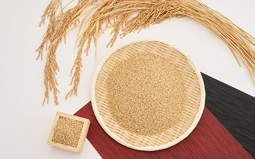 新米【令和7年産】たこまいらいふ萩原農場の多古米コシヒカリ(精米)10kg・(玄米)10kgセット【配送不可地域：離島・沖縄県】