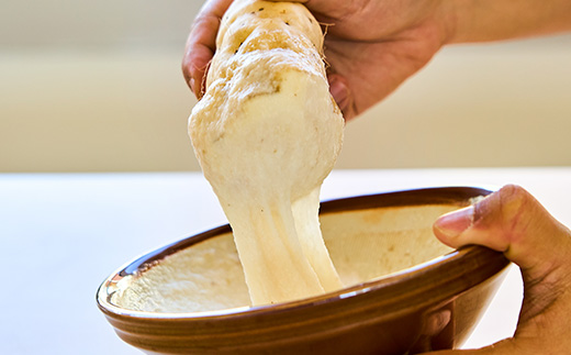 やまと芋の町 多古から「秋山農園のやまと芋」2kg