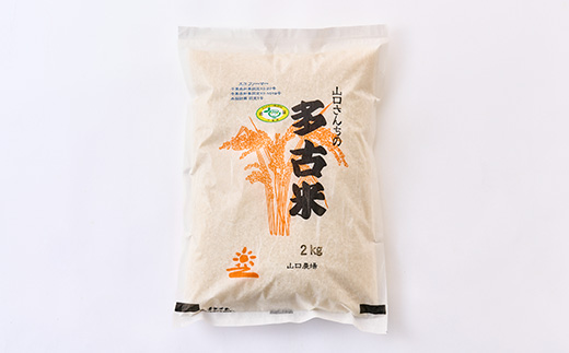 ご飯にはやっぱりカレー!「多古米コシヒカリ2kg」と「せんば牛カレー200g×5」セット【配送不可地域：離島】