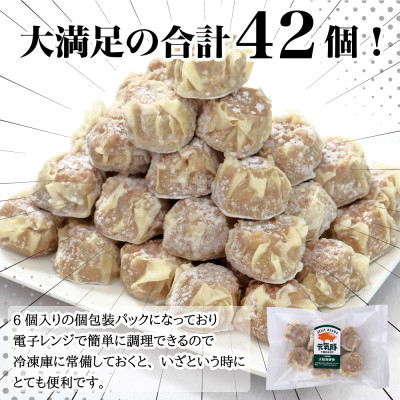 【毎月定期便】元気豚 大粒肉焼売セット 42個セット(計2.1kg)全6回【配送不可地域：離島・沖縄県】