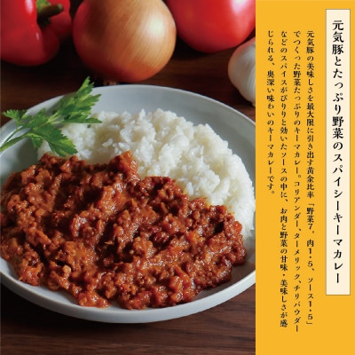 元気豚カレー2種セット(元気豚カレー 5P、キーマカレー 5P　計10食分)【保存食・備蓄・ギフト】【配送不可地域：離島・沖縄県】