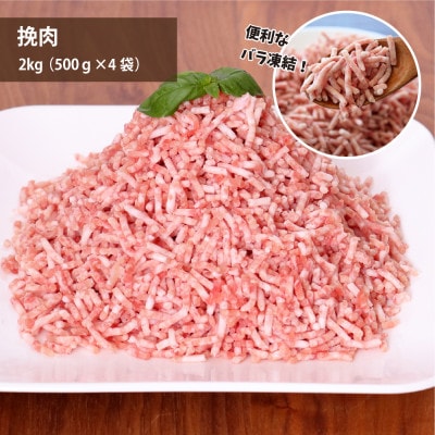 元気豚 切り落とし・挽き肉セット 4kg(切り落とし 2kg・挽肉 2kg)便利なバラ凍結＆小分包装【配送不可地域：離島・沖縄県】