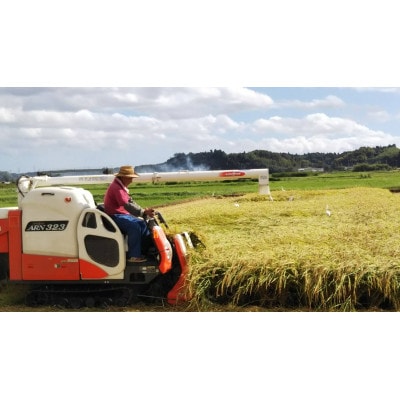 多古米グランプリ常連　佐藤さんのコシヒカリ【令和7年産精米5kg】【配送不可地域：離島】